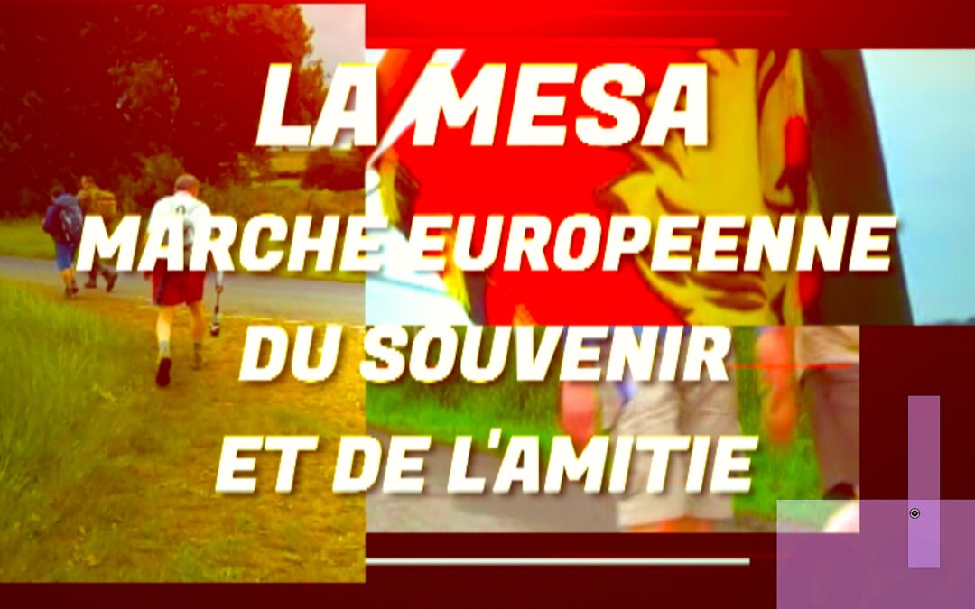 LA M.E.S.A